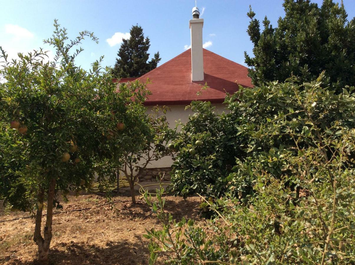 La Casa De Las Higueras Dar Karmus Tétouan Esterno foto