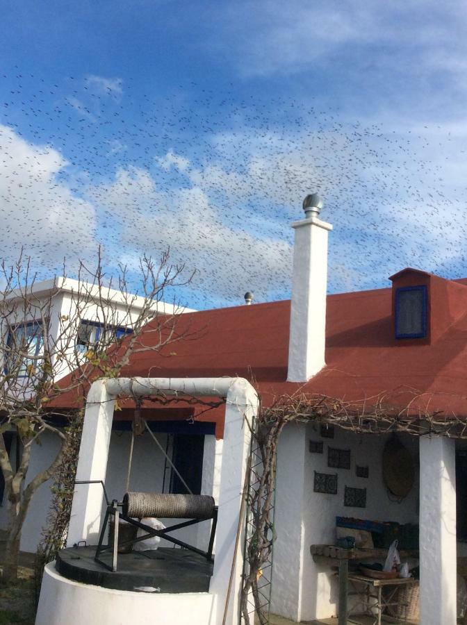 La Casa De Las Higueras Dar Karmus Tétouan Esterno foto