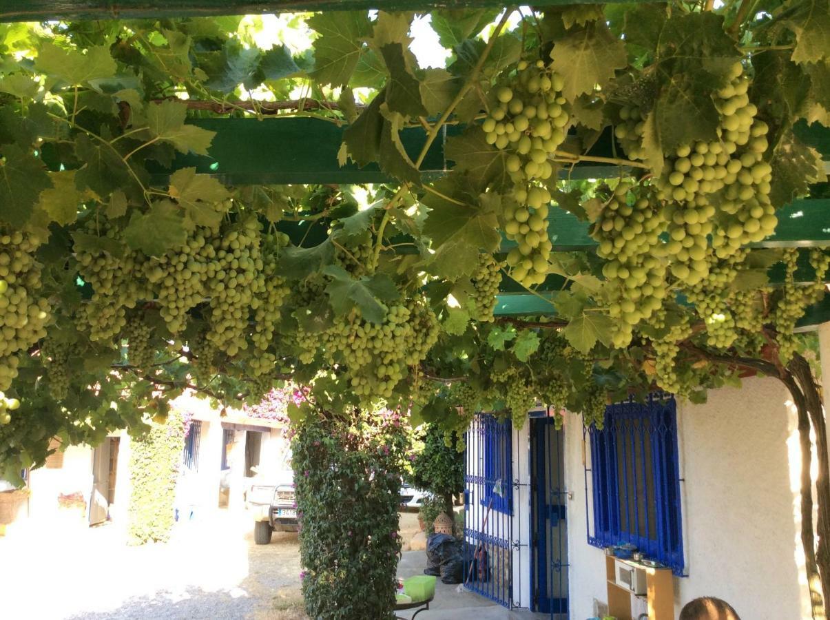 La Casa De Las Higueras Dar Karmus Tétouan Esterno foto